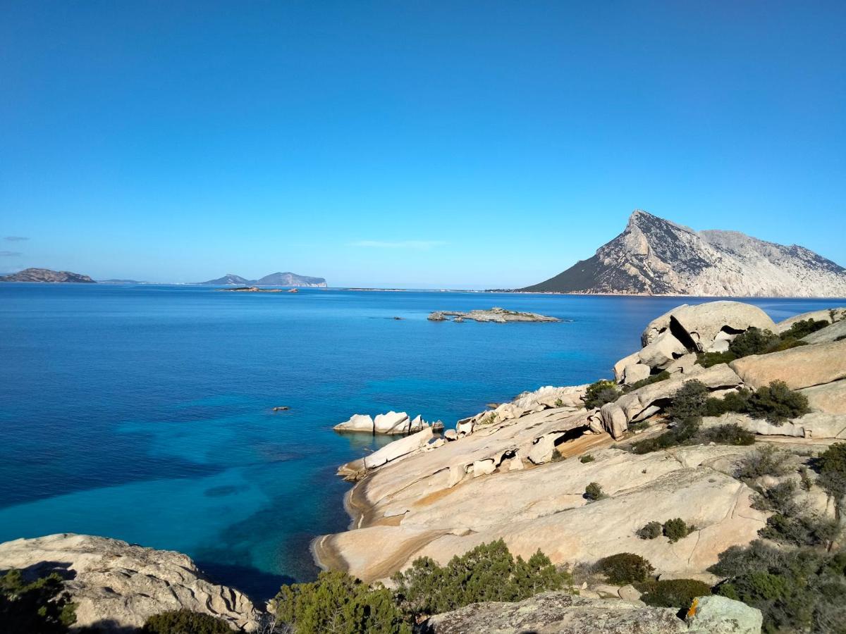 Flat Flumendosa 31 * Olbia