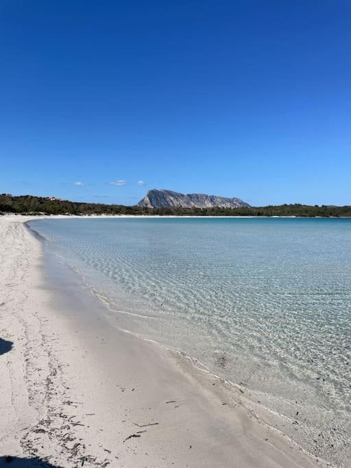 Flat Flumendosa 31 Olbia